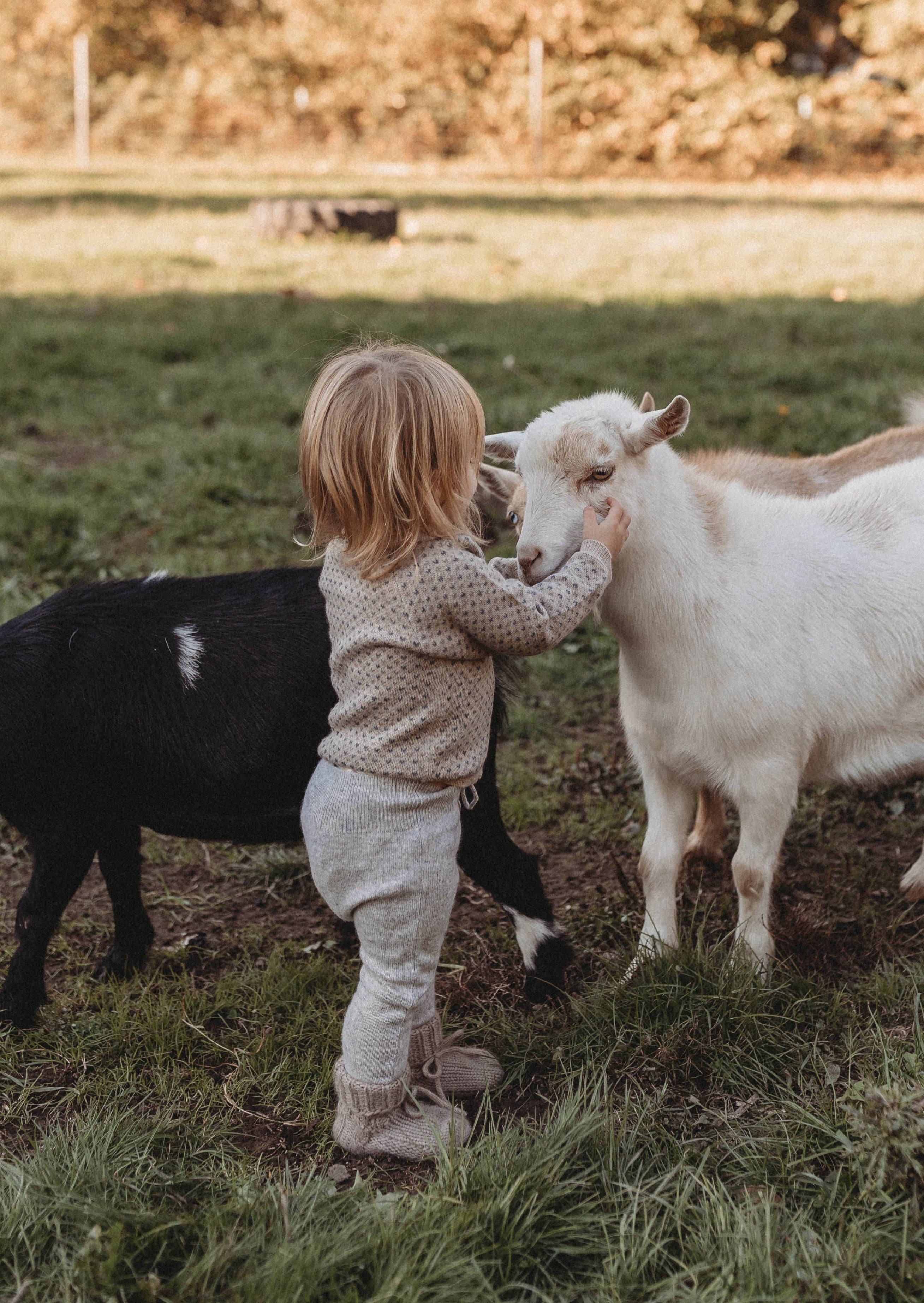 La Petit Lapin Cashmere Cardigan | Petit Coeur Natural | Playroom Avenue