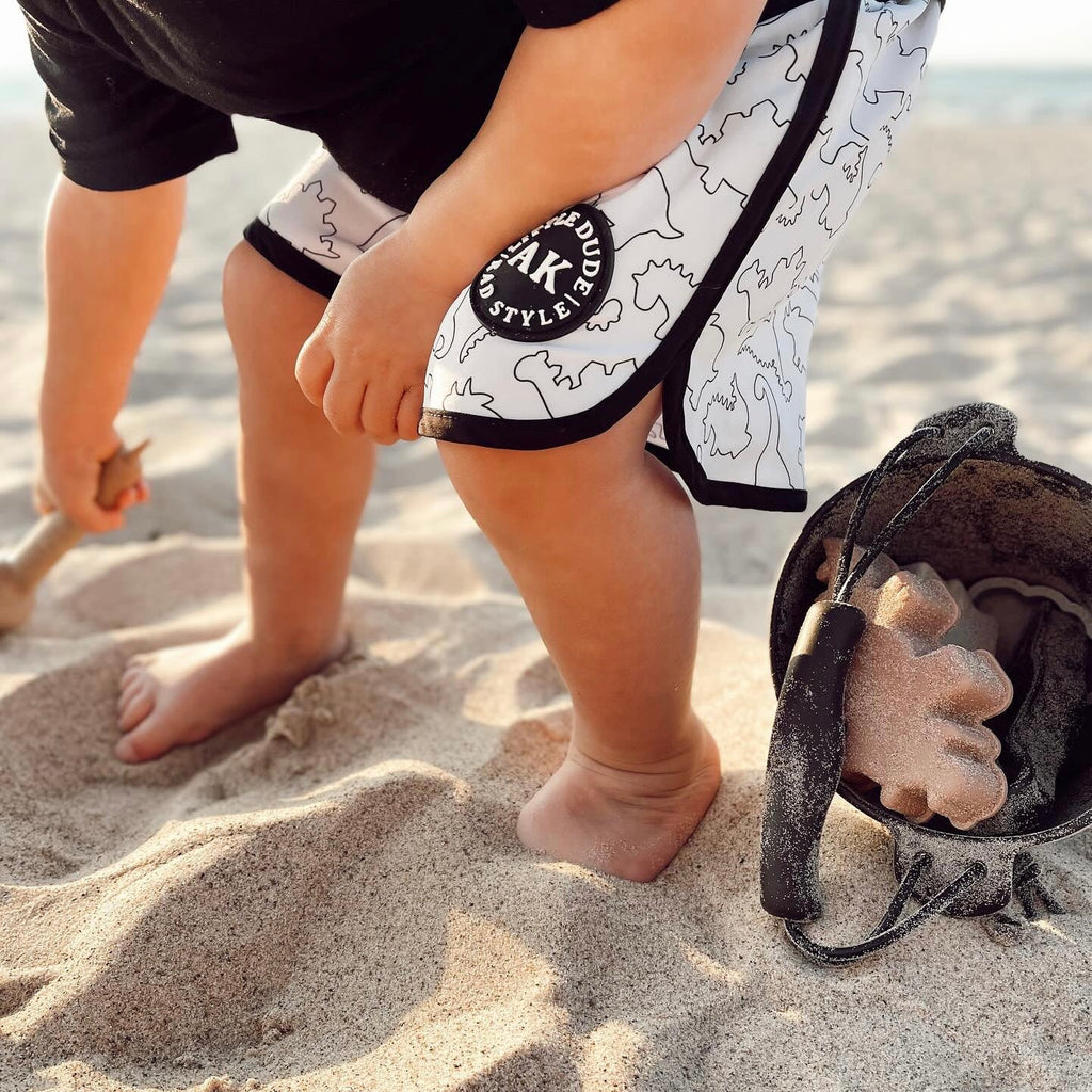 Calla and Friends AK Clothing x C&F Dino Silicone Beach Toy Set | Playroom Avenue