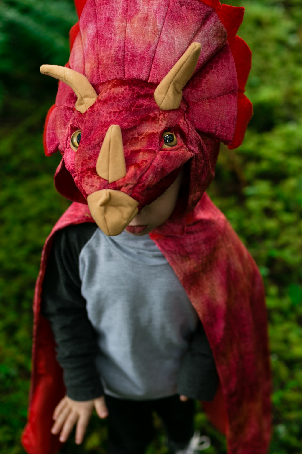 Great Pretenders Triceratops Hooded Dinosaur Cape