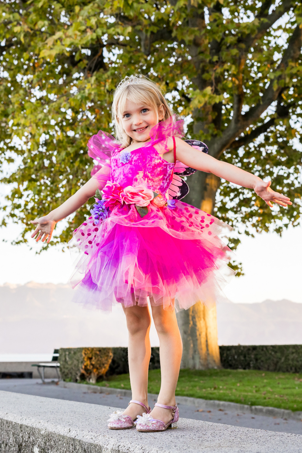Great Pretenders Fairy Blooms Deluxe Dress & Wings