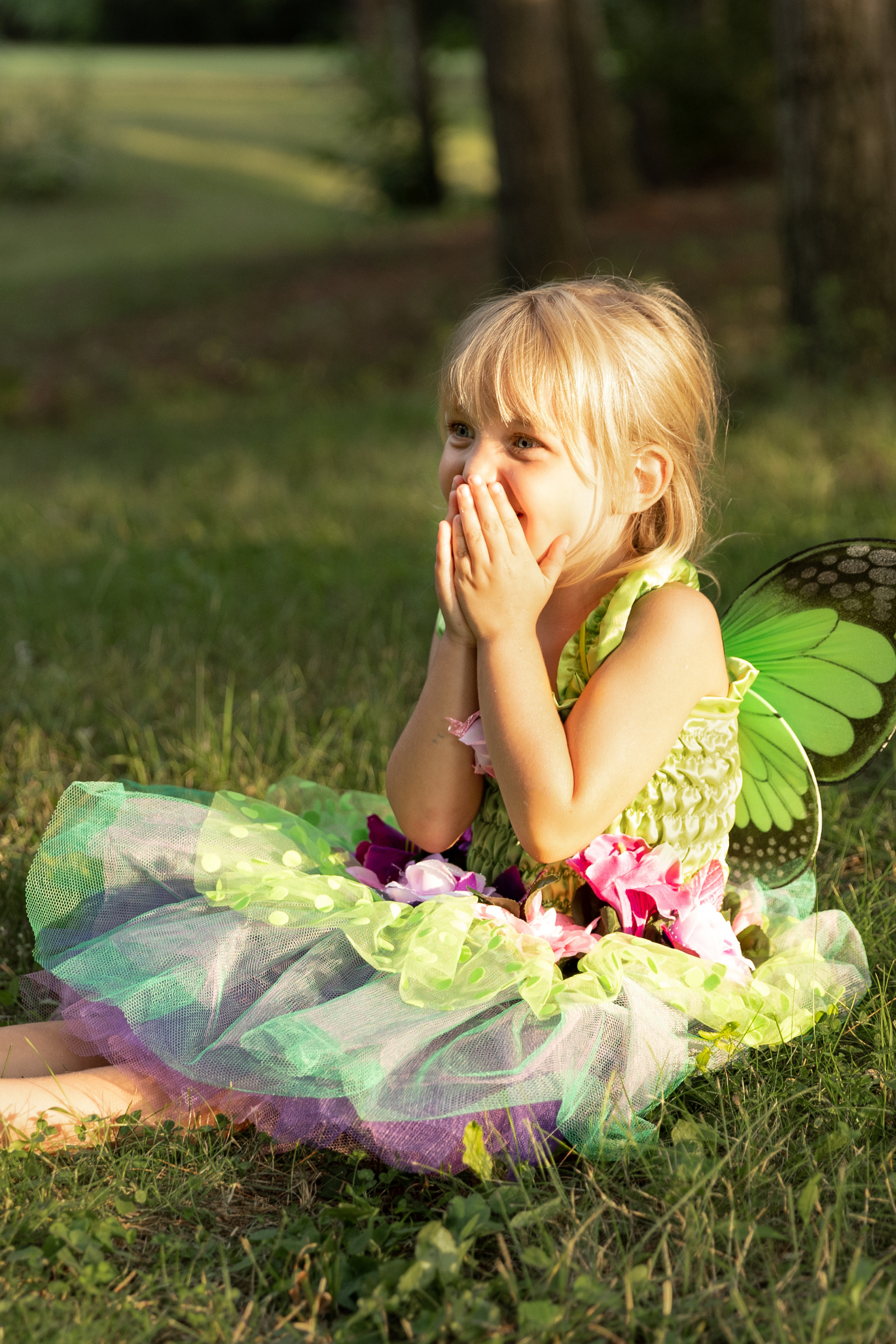 Great Pretenders Fairy Blooms Deluxe Dress & Wings