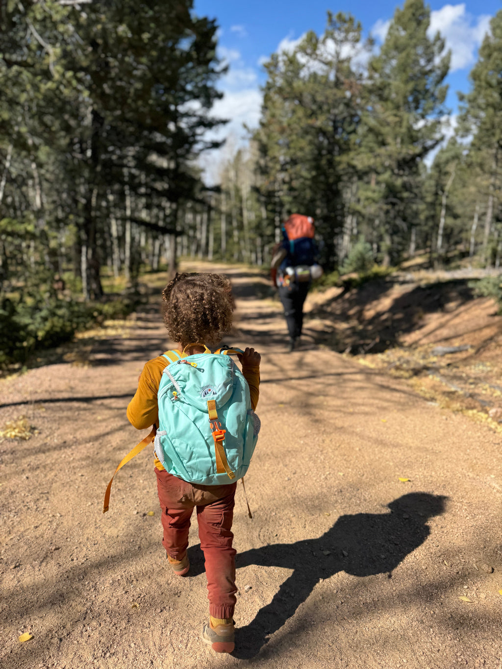 Keep the Littles Wild Kid’s (Ages 2 to 7) light blue Hiking Pack - Water Bladder System Compatible for Young Hikers | Playroom Avenue