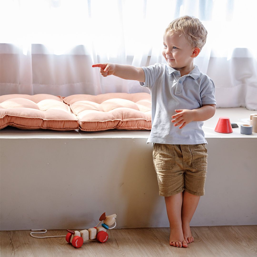 PlanToys Happy Puppy | Playroom Avenue