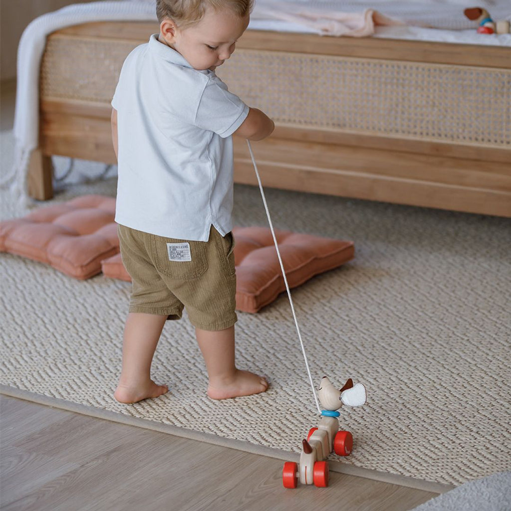 PlanToys Happy Puppy | Playroom Avenue