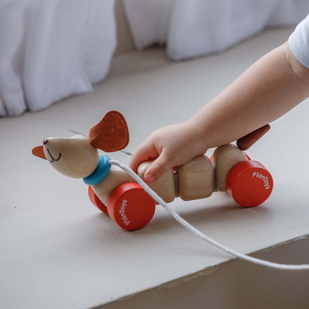 PlanToys Happy Puppy | Playroom Avenue