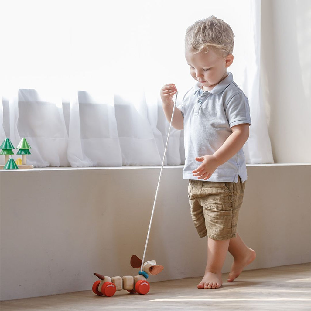 PlanToys Happy Puppy | Playroom Avenue