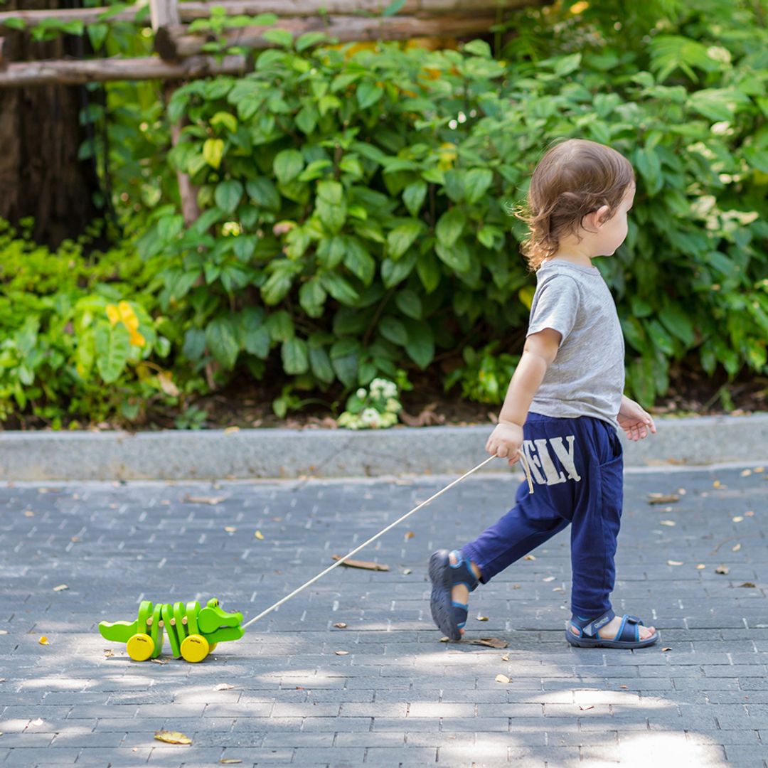 PlanToys Dancing Alligator | Playroom Avenue