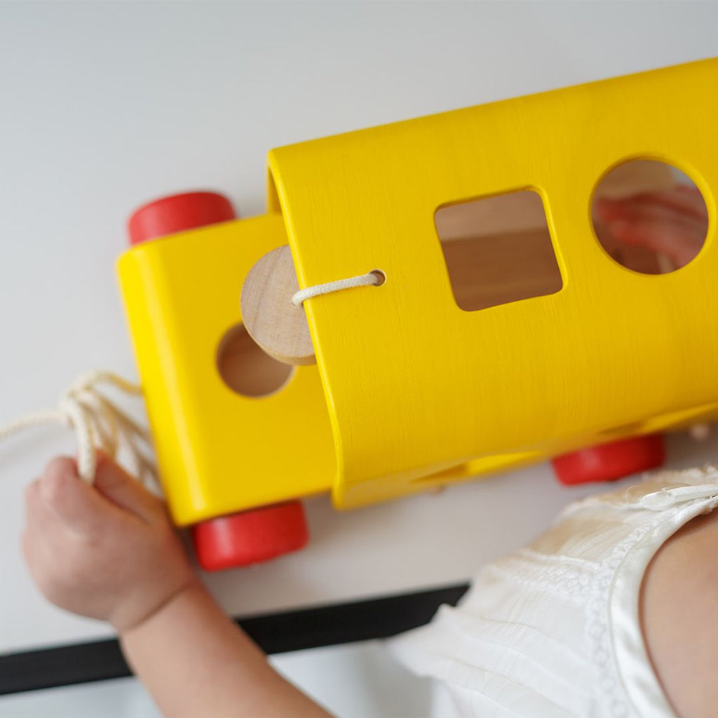 PlanToys Sorting Bus | Playroom Avenue