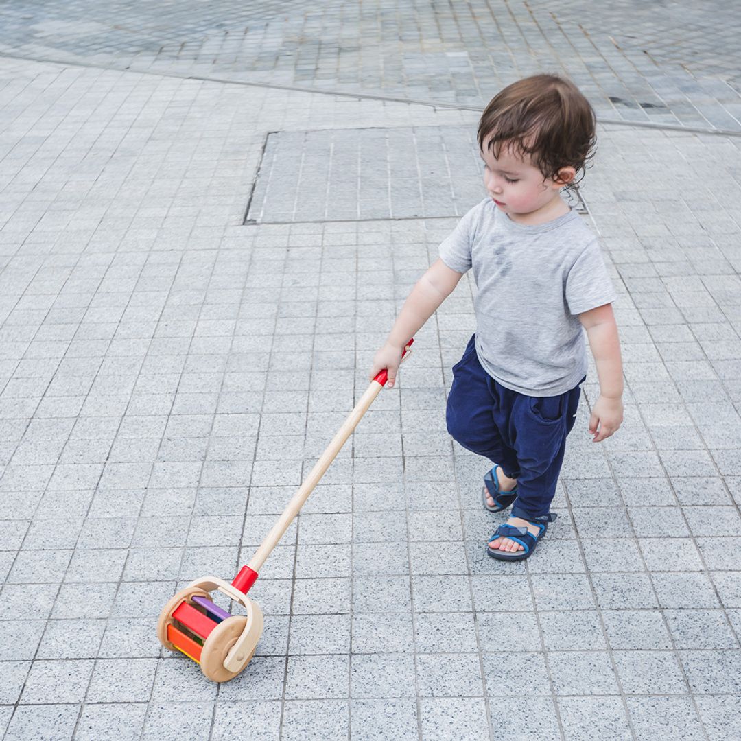 PlanToys Walk N Roll | Playroom Avenue