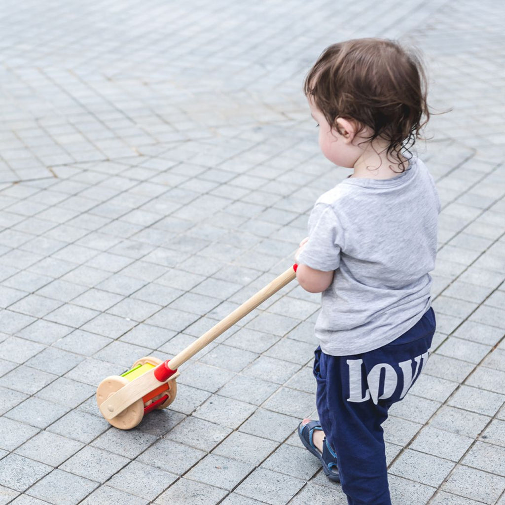 PlanToys Walk N Roll | Playroom Avenue
