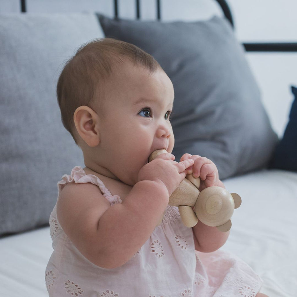 PlanToys Bear | Playroom Avenue