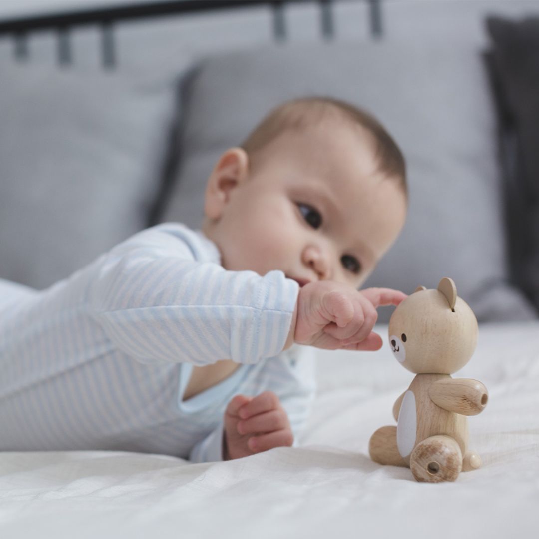PlanToys Bear | Playroom Avenue