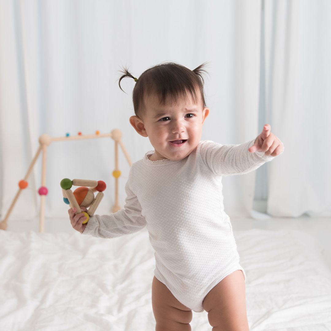 PlanToys Triangle Clutching Toy | Playroom Avenue