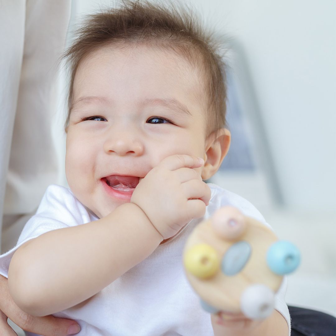 PlanToys Rattle | Playroom Avenue