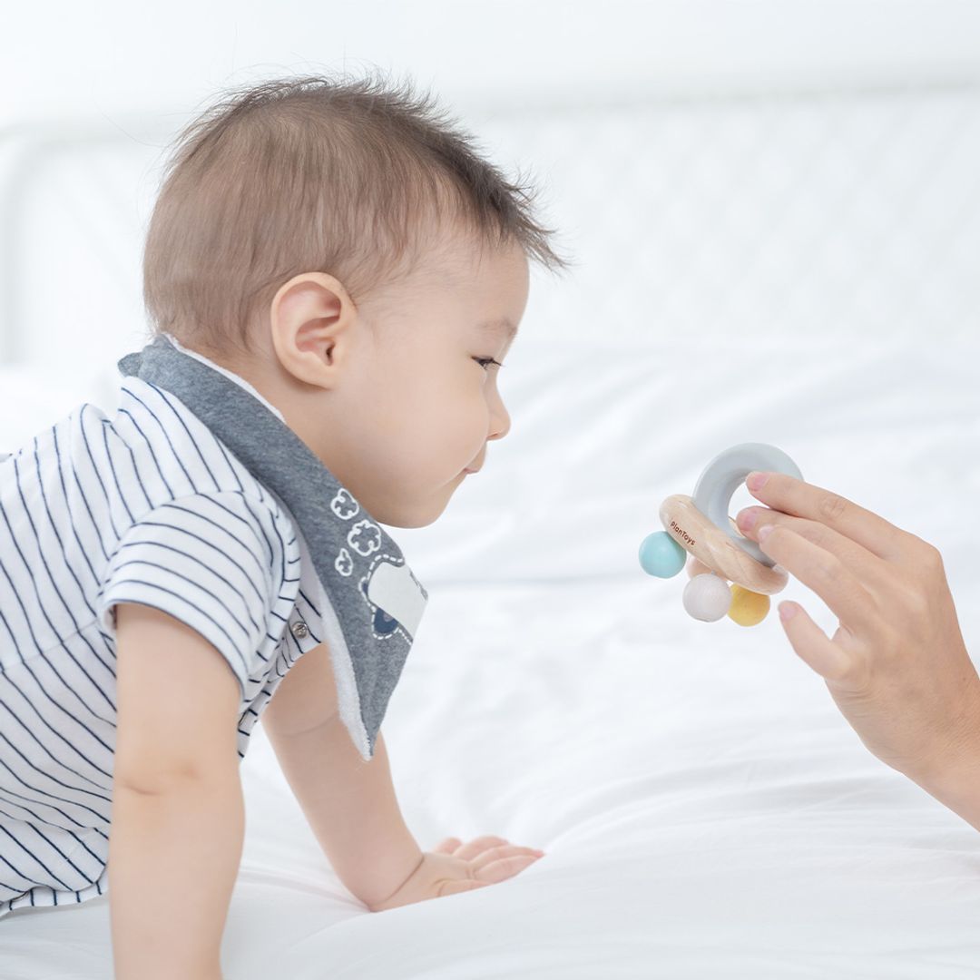 PlanToys Rattle | Playroom Avenue