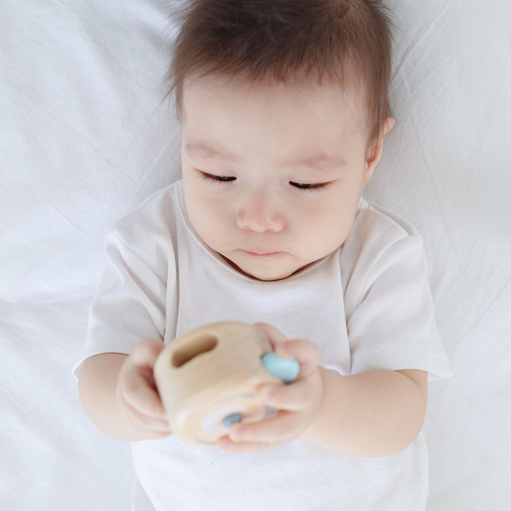 PlanToys Peek-A-Boo Roller | Playroom Avenue