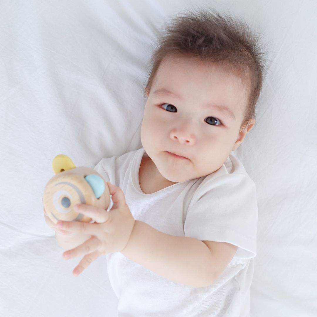 PlanToys Peek-A-Boo Roller | Playroom Avenue