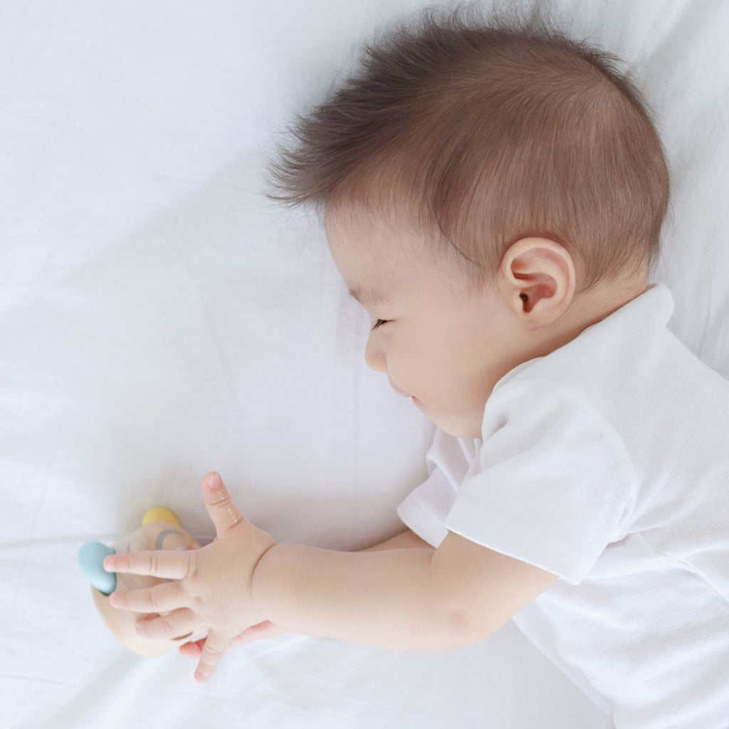 PlanToys Peek-A-Boo Roller | Playroom Avenue