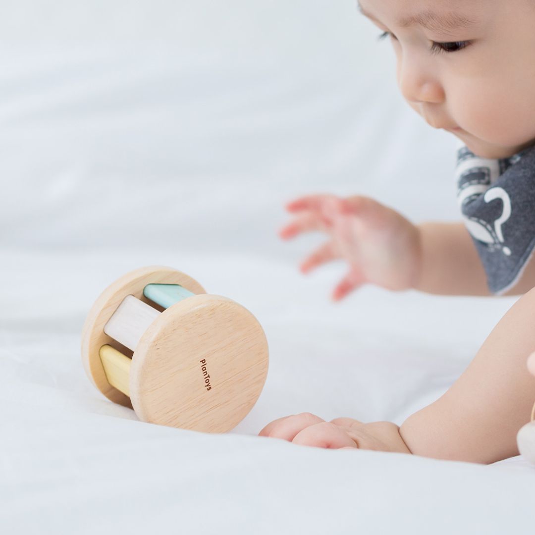PlanToys Roller - Pastel | Playroom Avenue