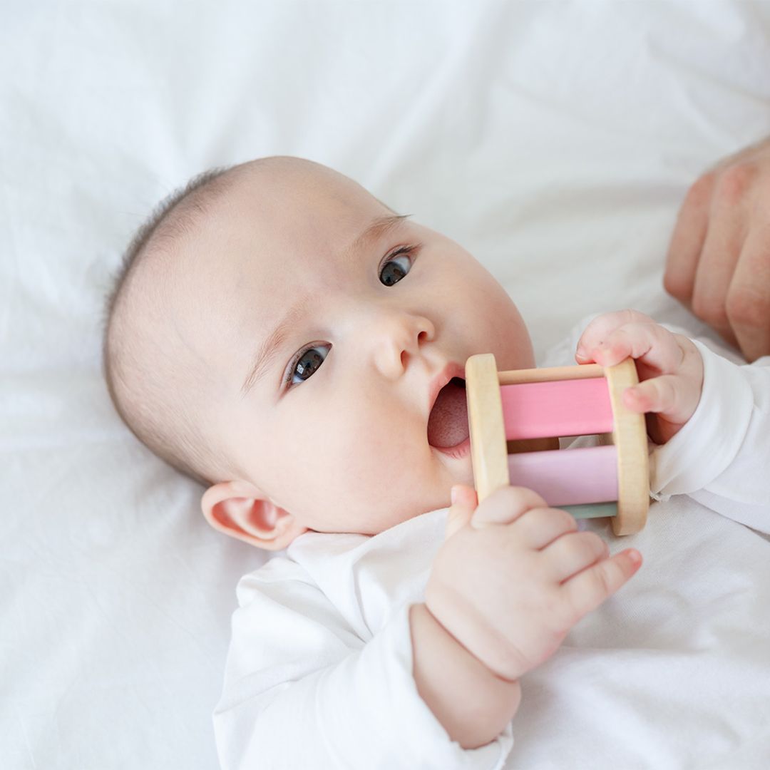 PlanToys Roller - Pastel | Playroom Avenue