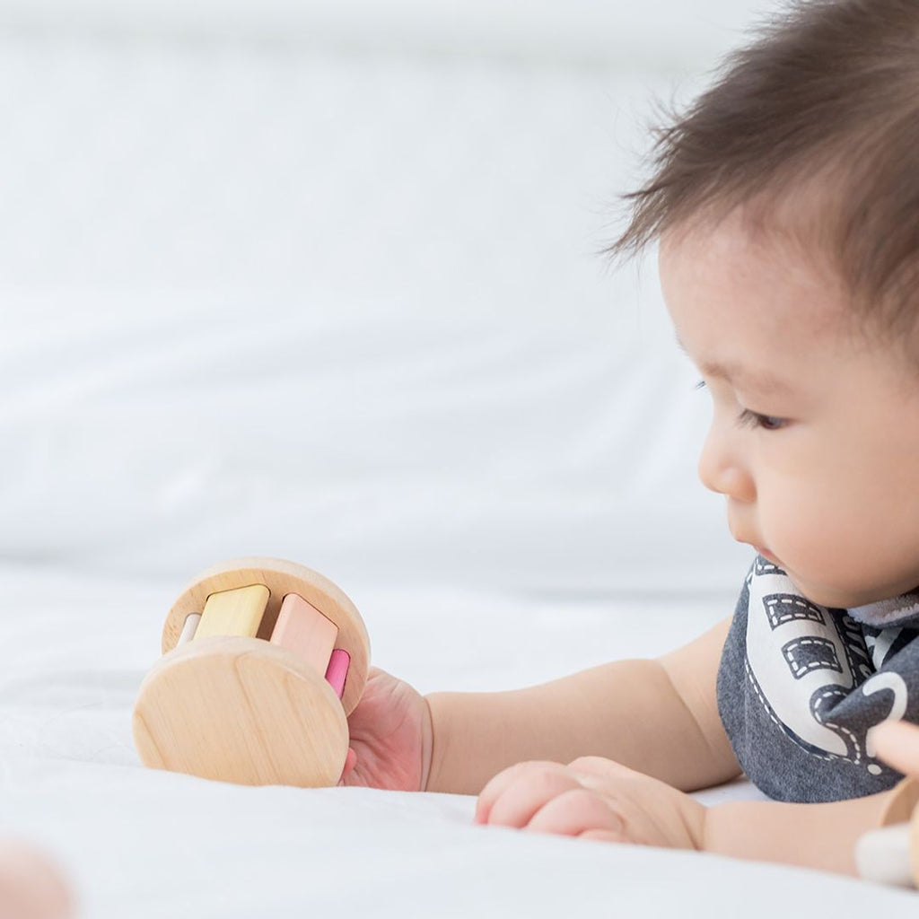 PlanToys Roller - Pastel | Playroom Avenue