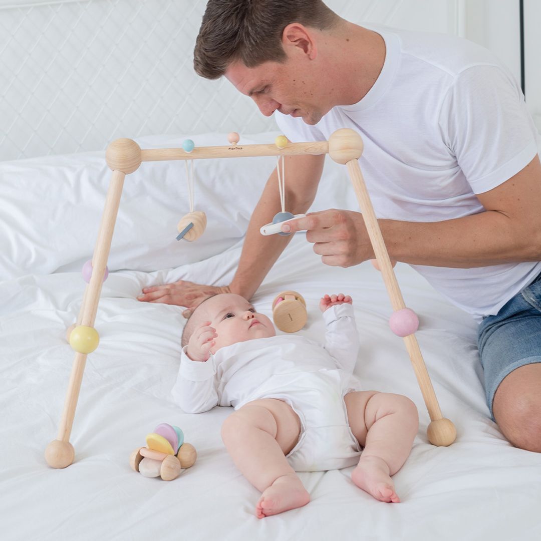 PlanToys Play Gym - Pastel | Playroom Avenue