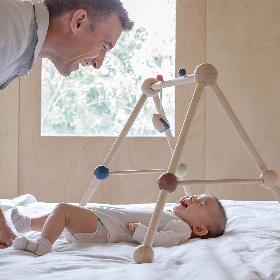 PlanToys Play Gym - Orchard | Playroom Avenue