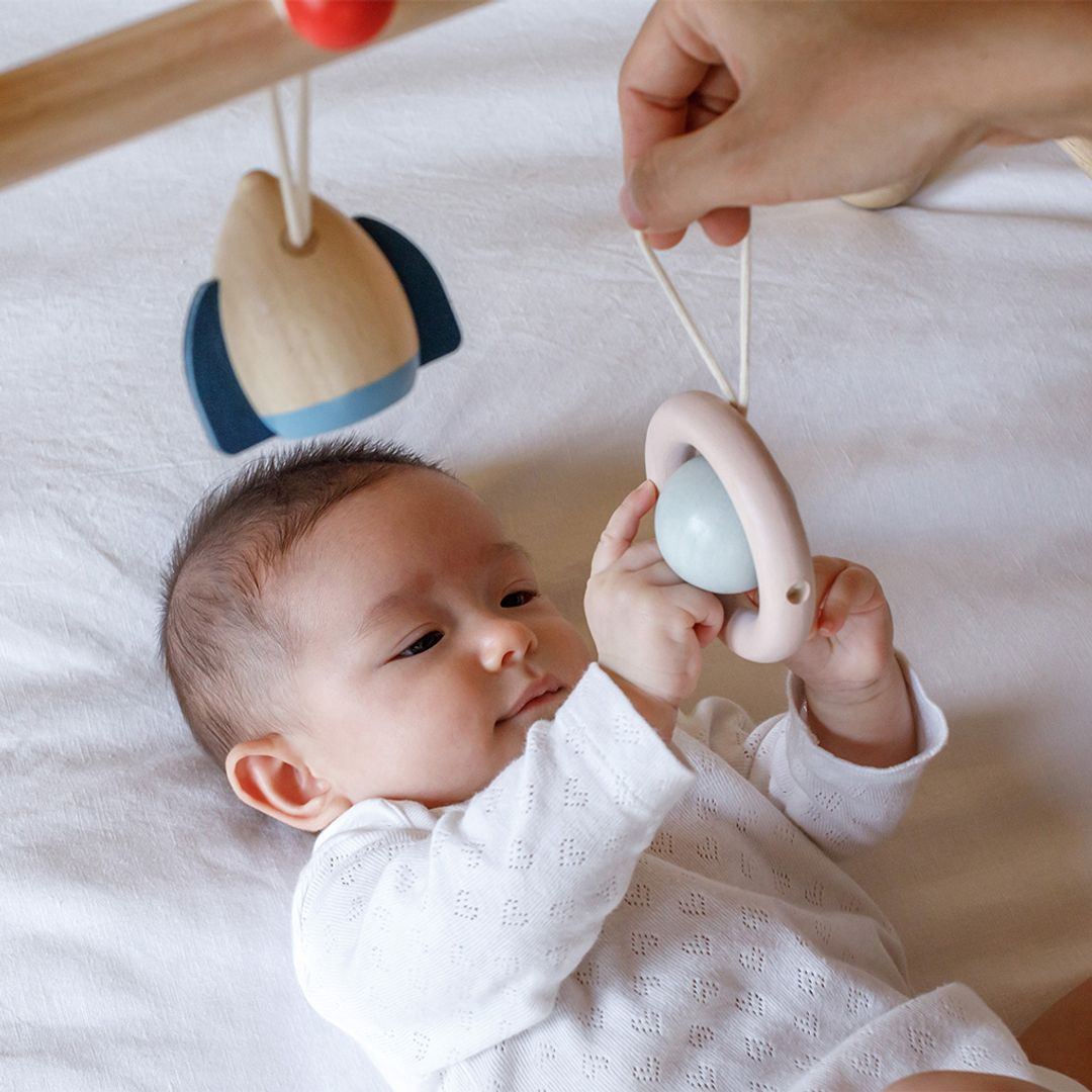 PlanToys Play Gym - Orchard | Playroom Avenue