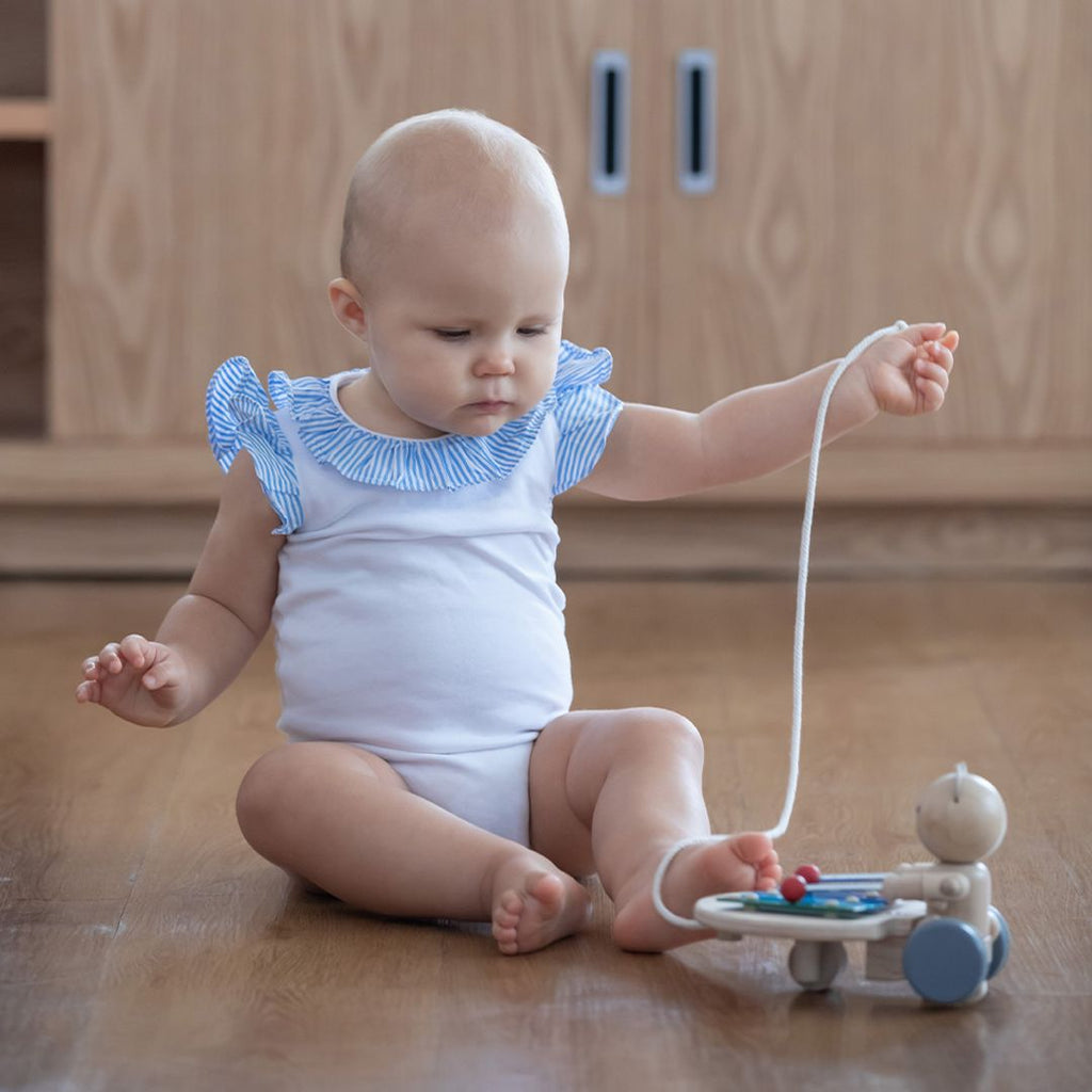 PlanToys Pull Along Musical Bear | Playroom Avenue