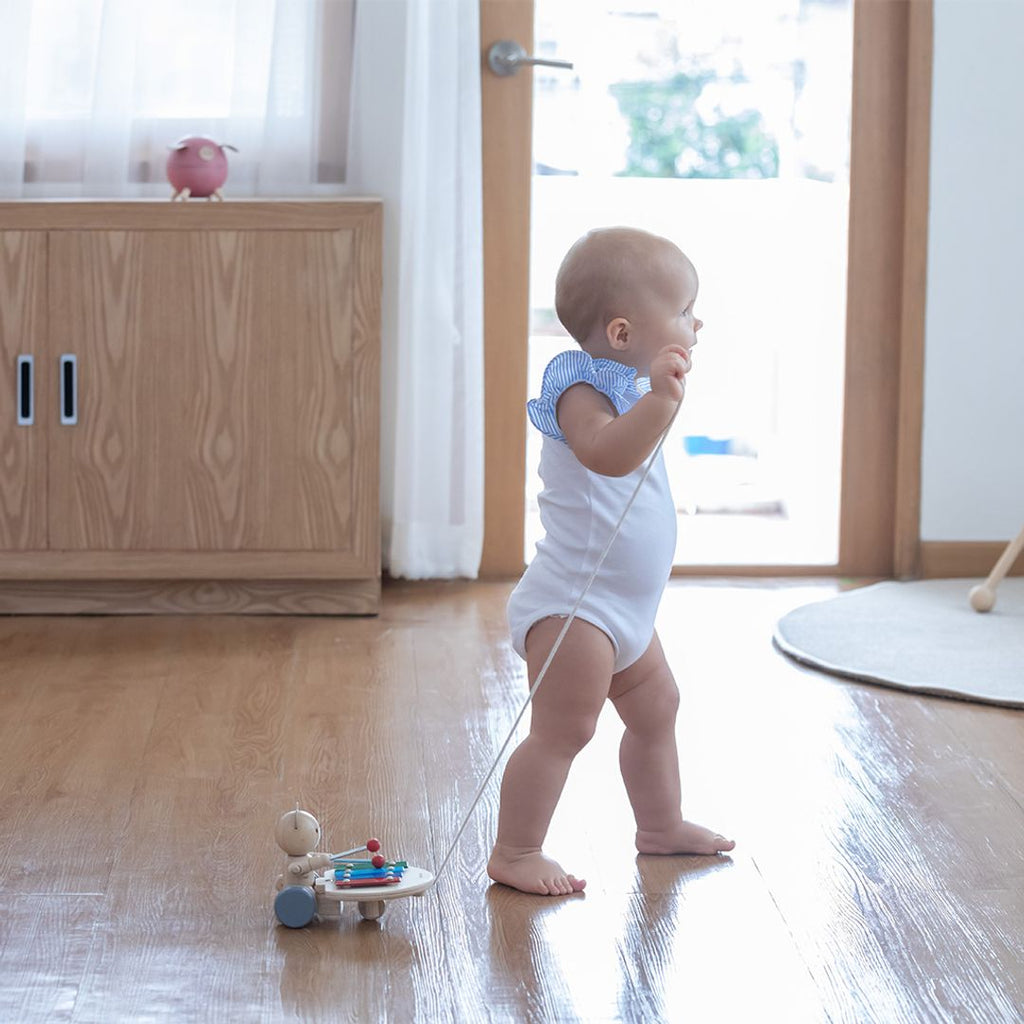 PlanToys Pull Along Musical Bear | Playroom Avenue