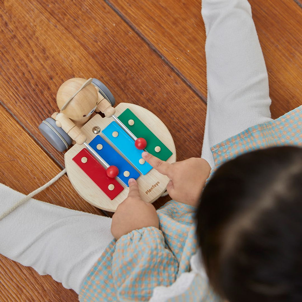 PlanToys Pull Along Musical Bear | Playroom Avenue