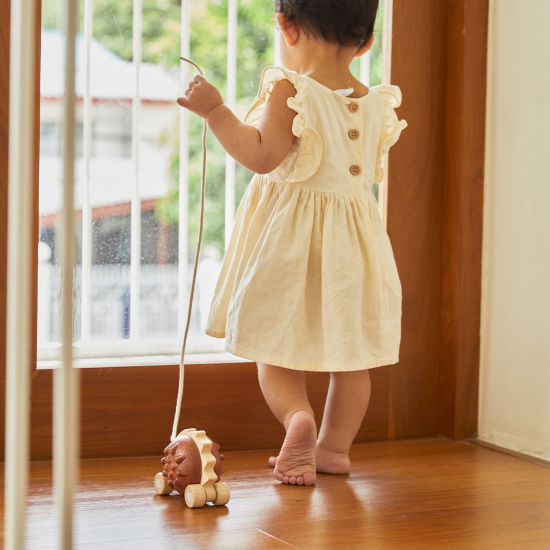 PlanToys Pull-Along Hedgehog - Brown | Playroom Avenue
