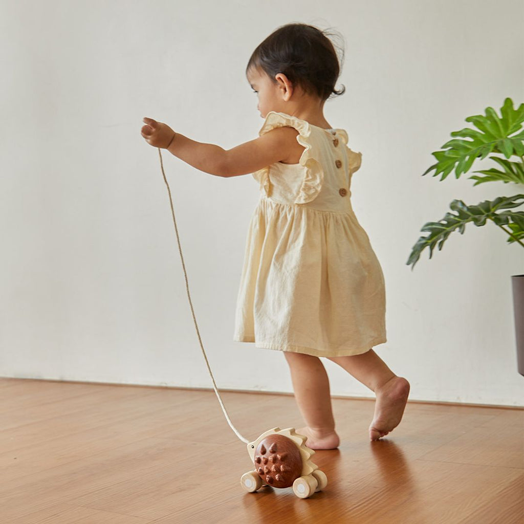PlanToys Pull-Along Hedgehog - Brown | Playroom Avenue