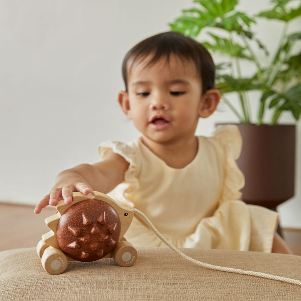 PlanToys Pull-Along Hedgehog - Brown | Playroom Avenue