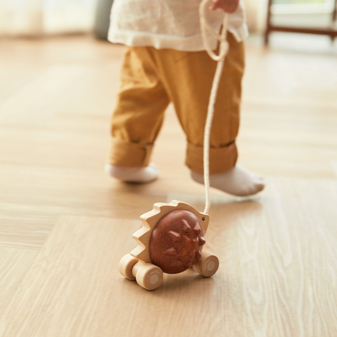 PlanToys Pull-Along Hedgehog - Brown | Playroom Avenue
