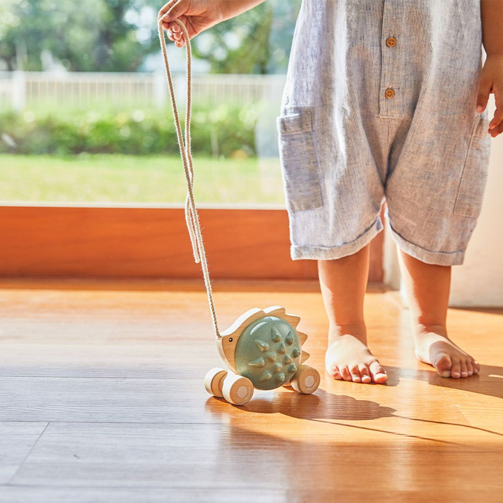 PlanToys Pull-Along Hedgehog - Blue | Playroom Avenue