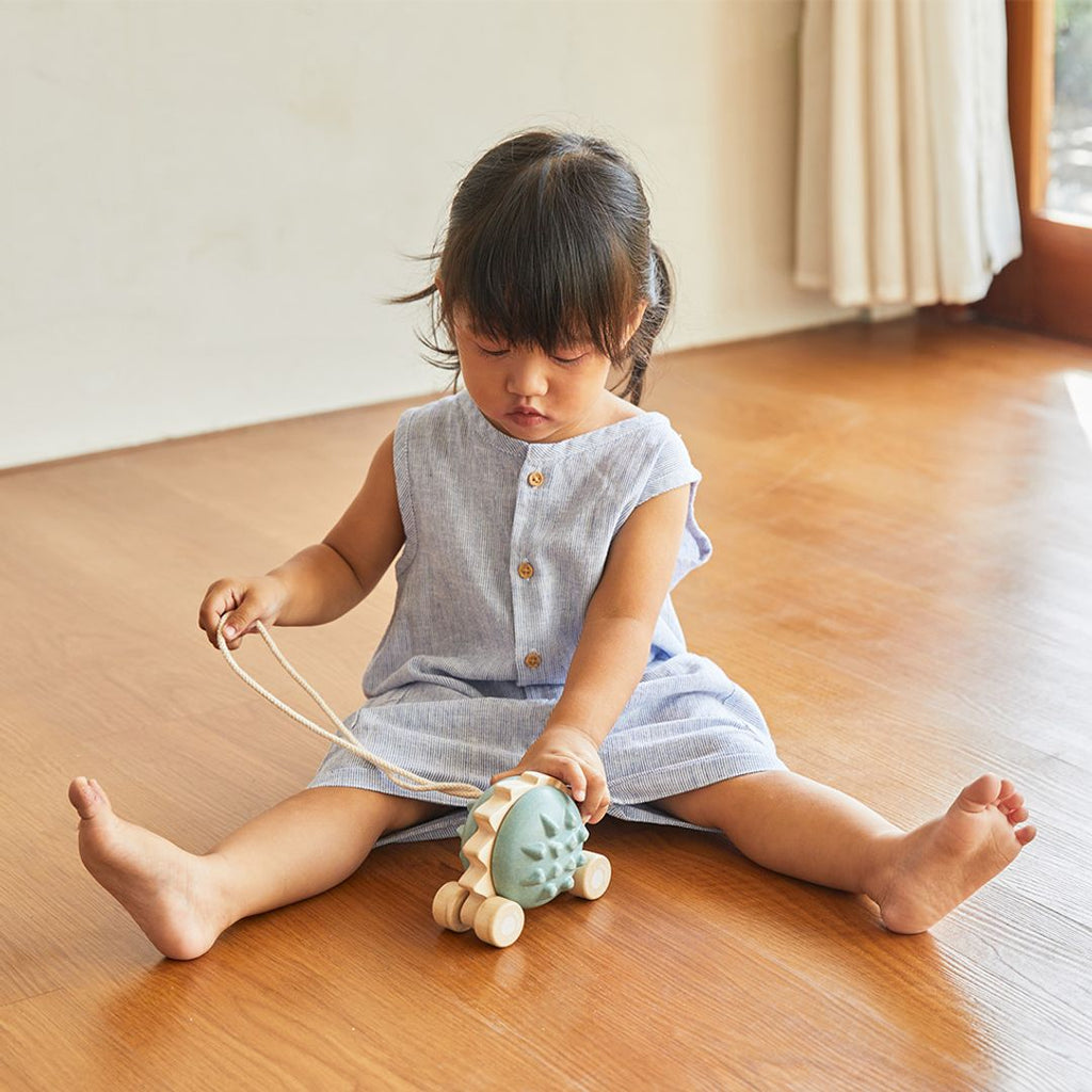 PlanToys Pull-Along Hedgehog - Blue | Playroom Avenue