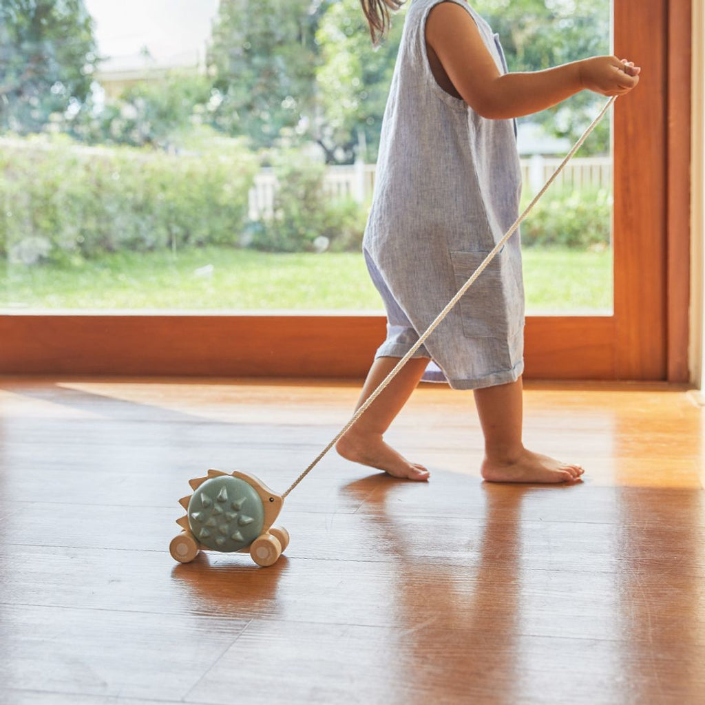 PlanToys Pull-Along Hedgehog - Blue | Playroom Avenue