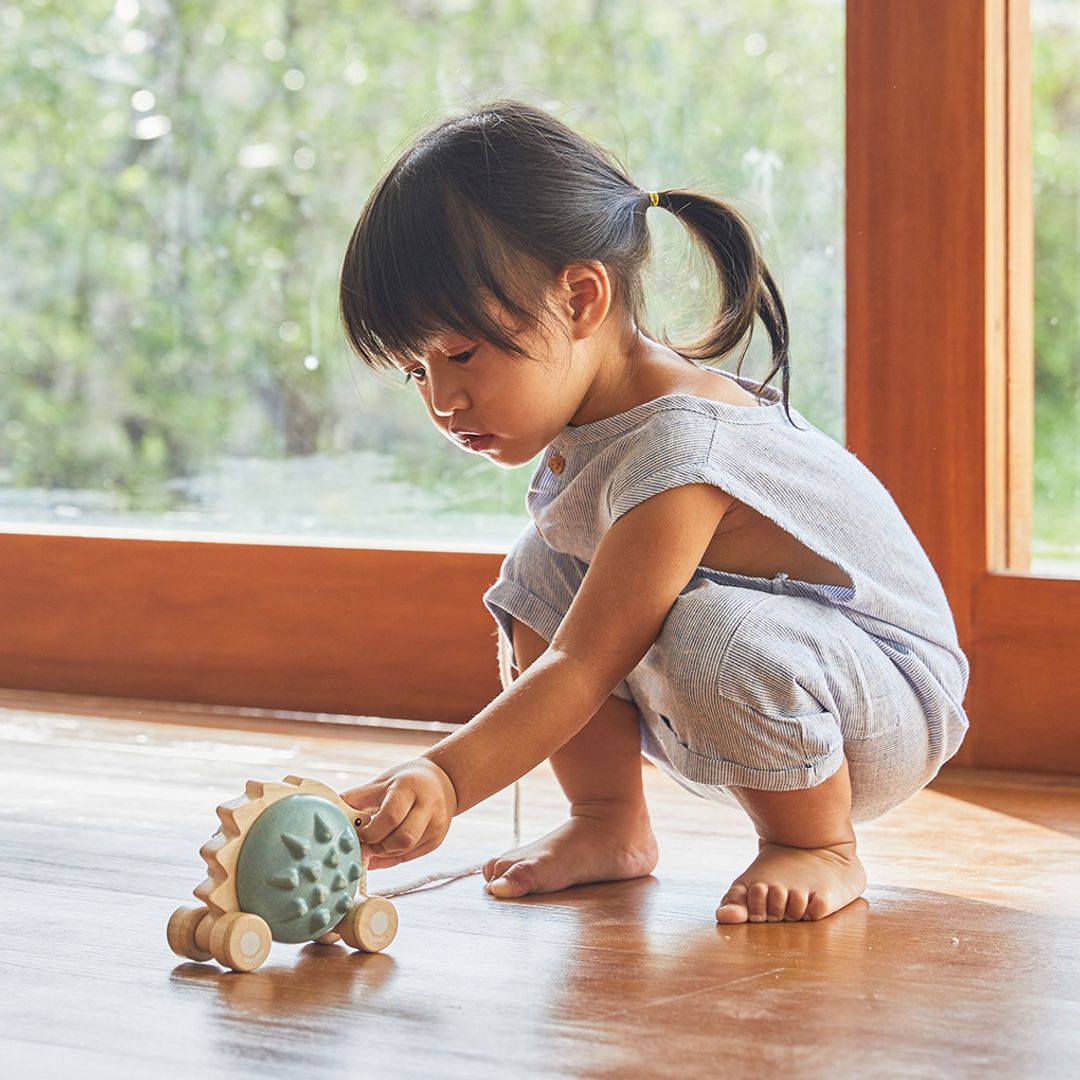 PlanToys Pull-Along Hedgehog - Blue | Playroom Avenue