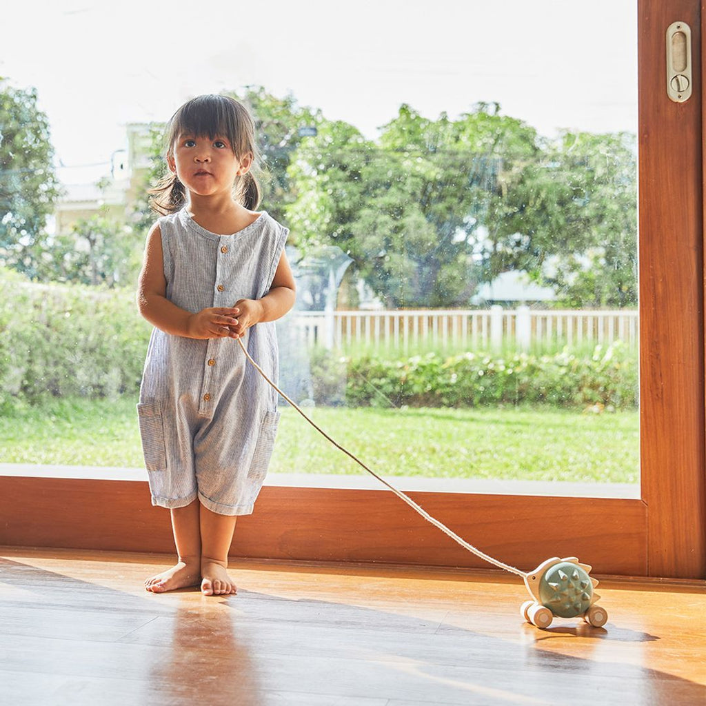 PlanToys Pull-Along Hedgehog - Blue | Playroom Avenue