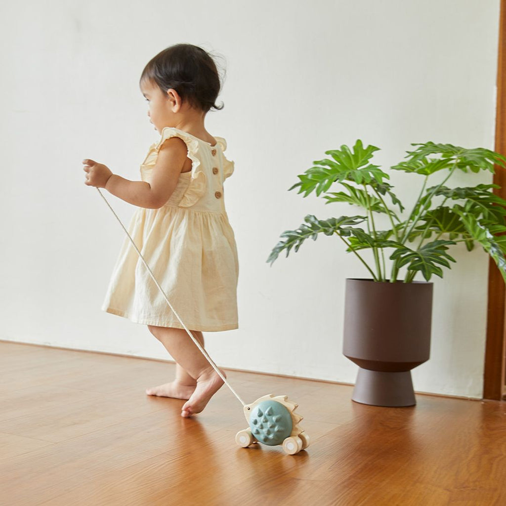 PlanToys Pull-Along Hedgehog - Blue | Playroom Avenue