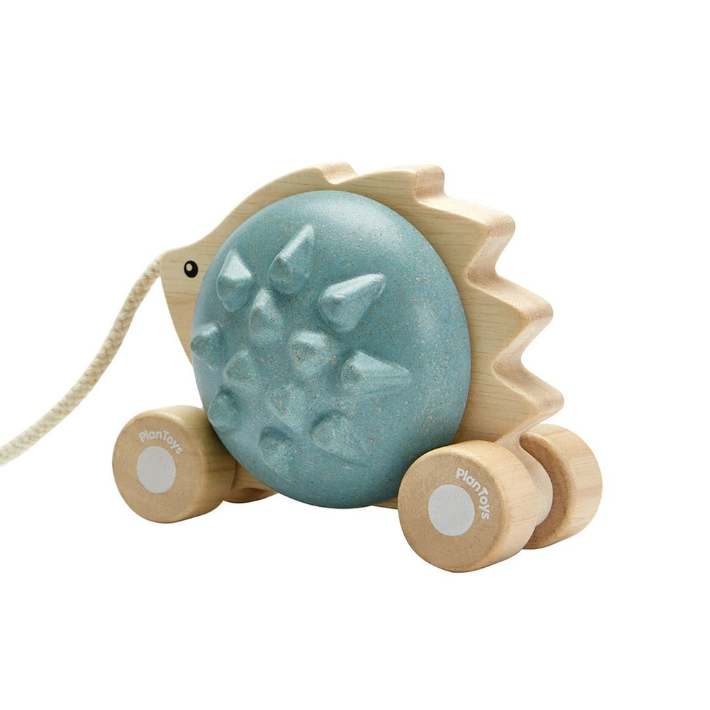 PlanToys Pull-Along Hedgehog - Blue | Playroom Avenue