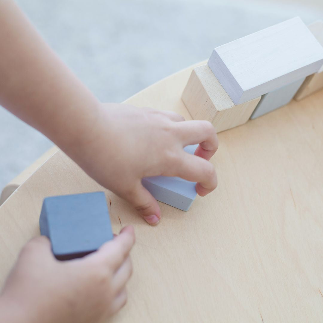 PlanToys Fraction Blocks | Playroom Avenue