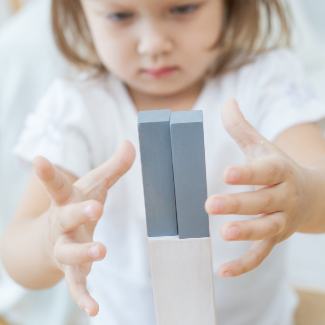PlanToys Fraction Blocks | Playroom Avenue