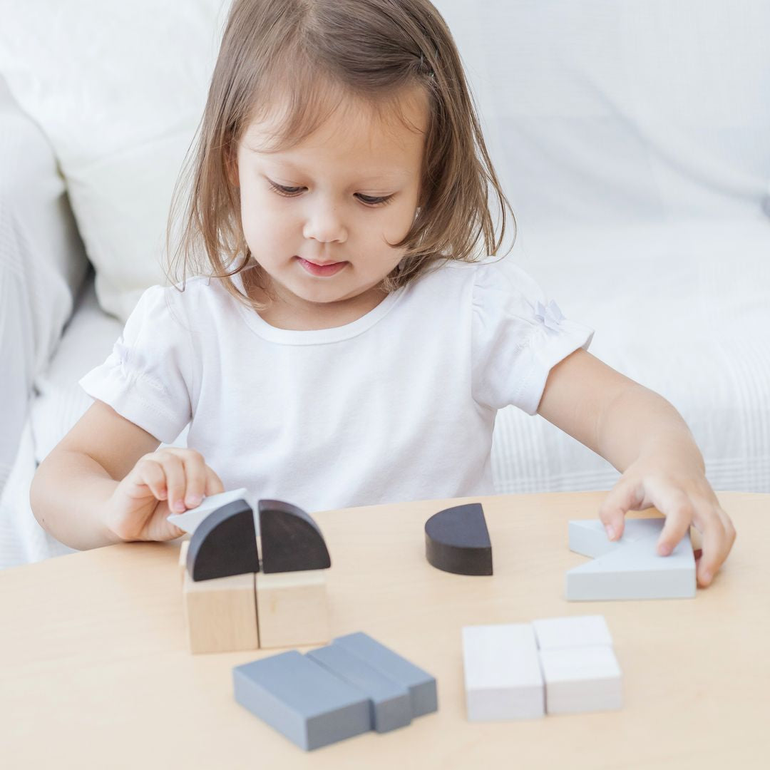 PlanToys Fraction Blocks | Playroom Avenue