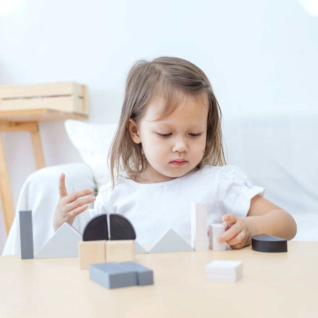 PlanToys Fraction Blocks | Playroom Avenue