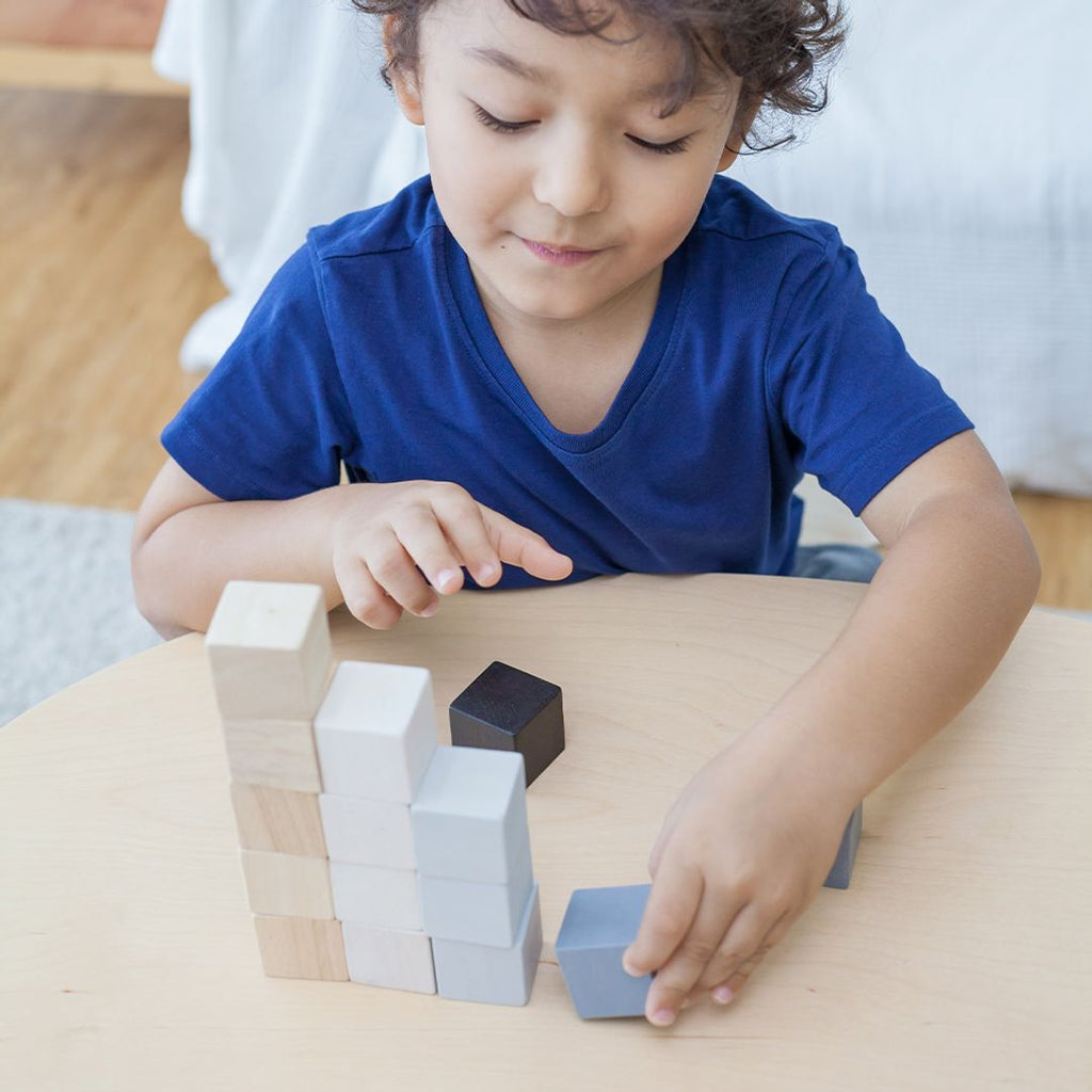 PlanToys Cubes | Playroom Avenue