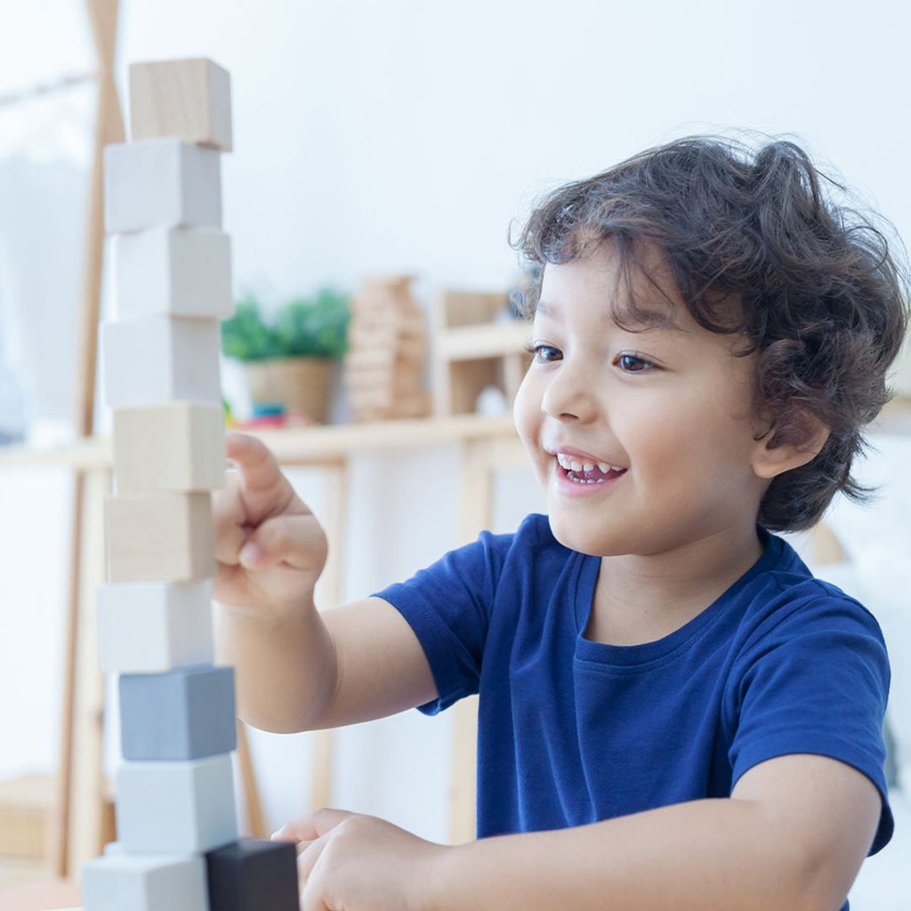 PlanToys Cubes | Playroom Avenue