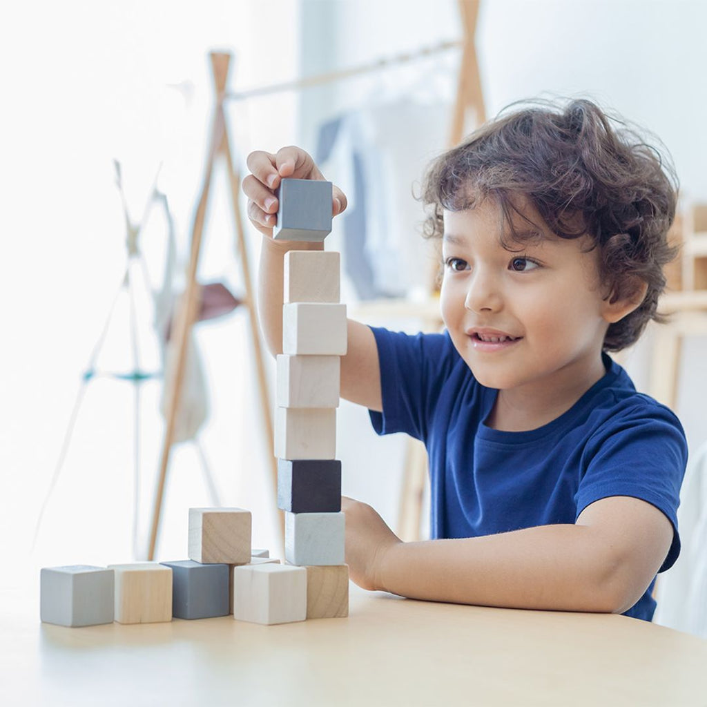 PlanToys Cubes | Playroom Avenue