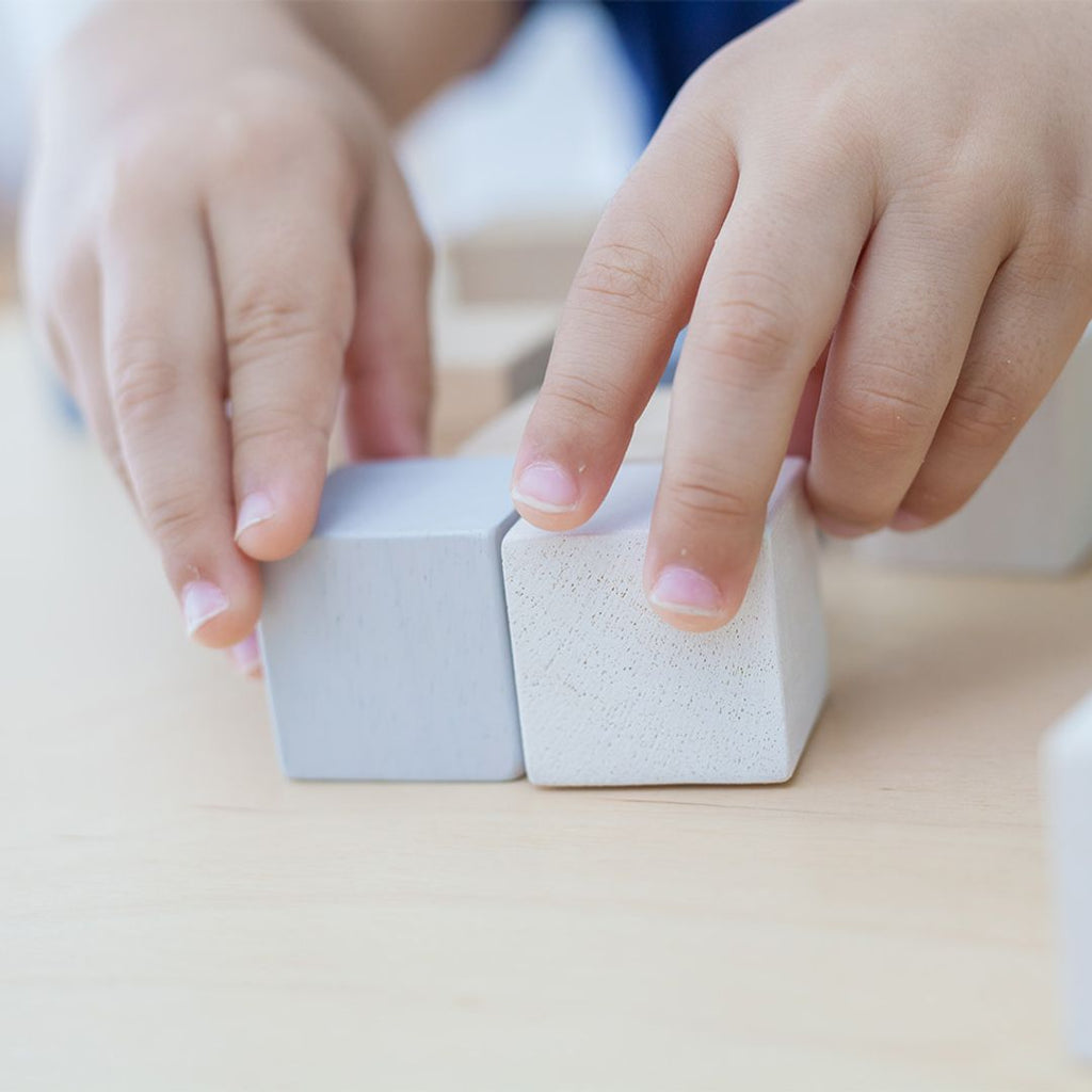 PlanToys Cubes | Playroom Avenue